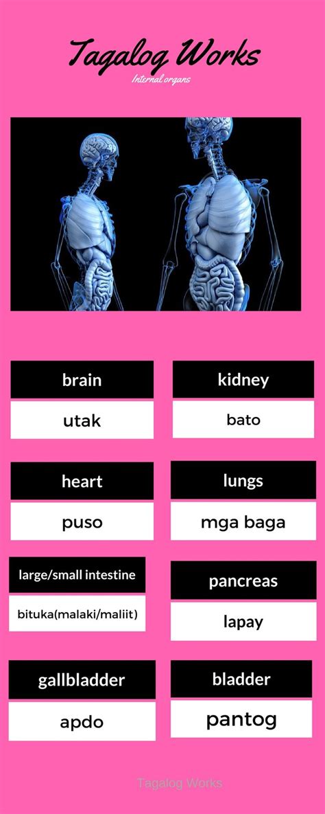 internal in tagalog